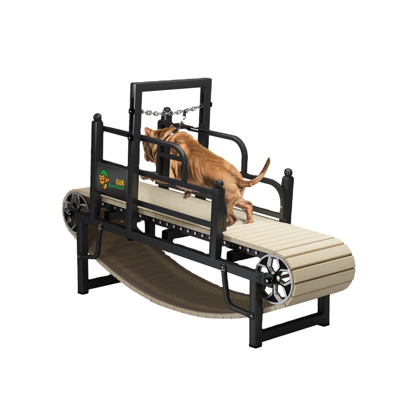 Outdoor-Trainingslaufband für große Hunde Schifffahrtshafen Shanghai oder Nanjing Hafen