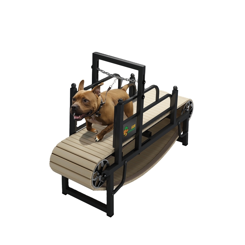 Ladekontingente 40 HQ Ladekontingente 168 Sets Treadmill für Großhunde